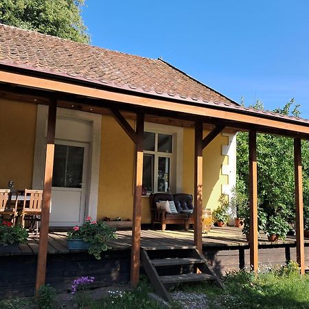 Agroturystyka Nasza Bajka Pieniezno Buitenkant foto